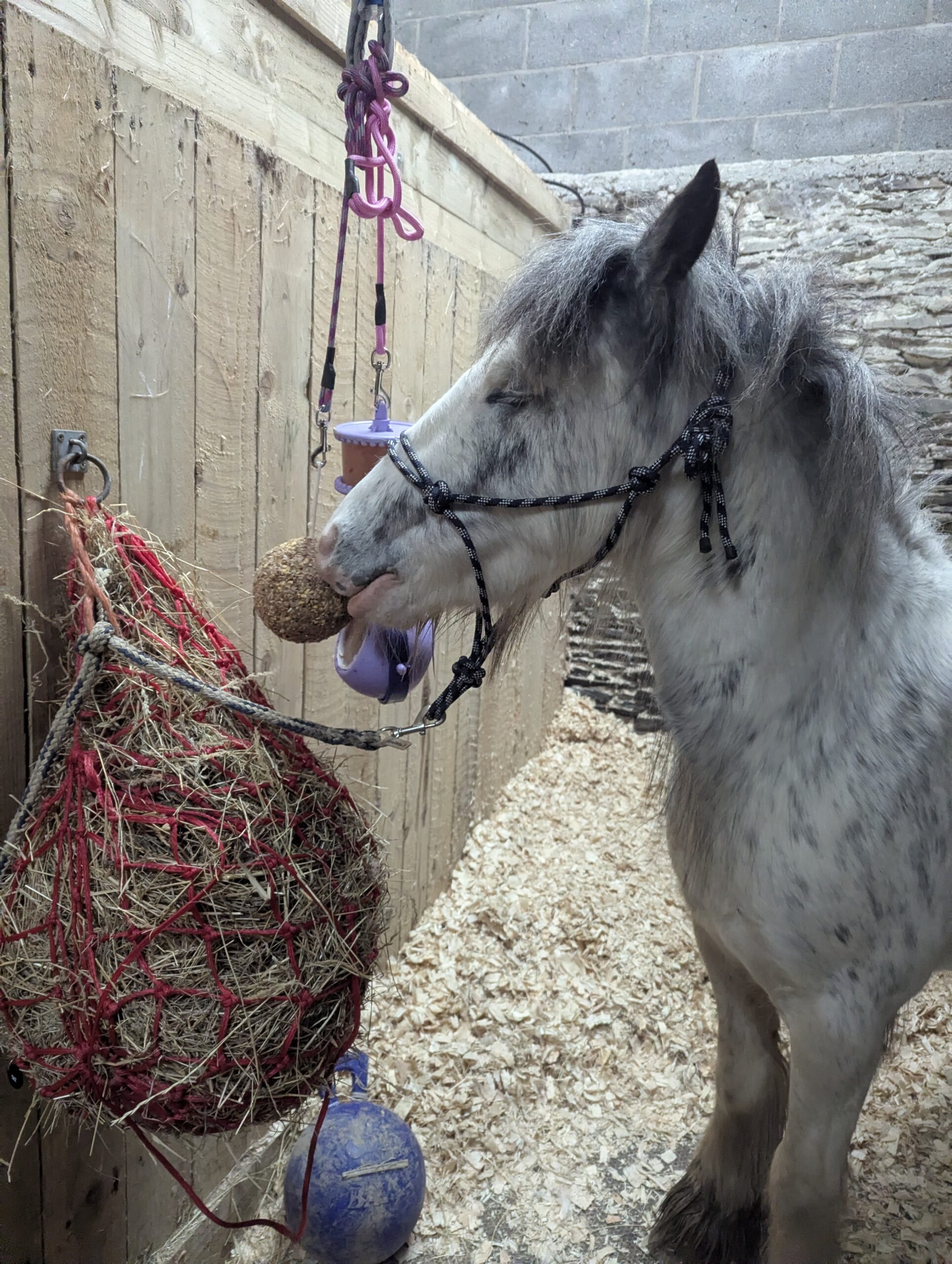 Likit granola stall ball