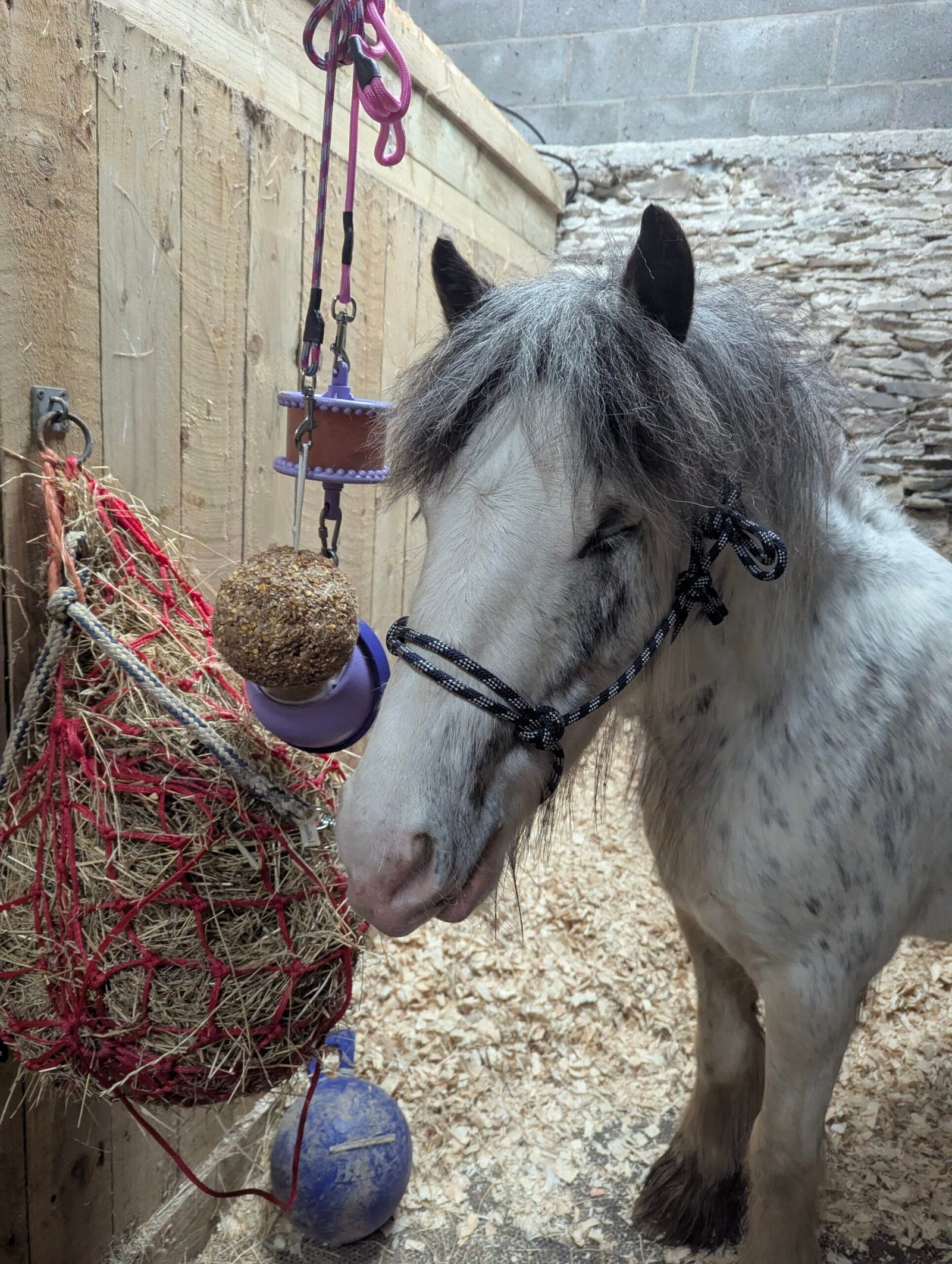 Likit Granola Ball and Boredom Buster in use