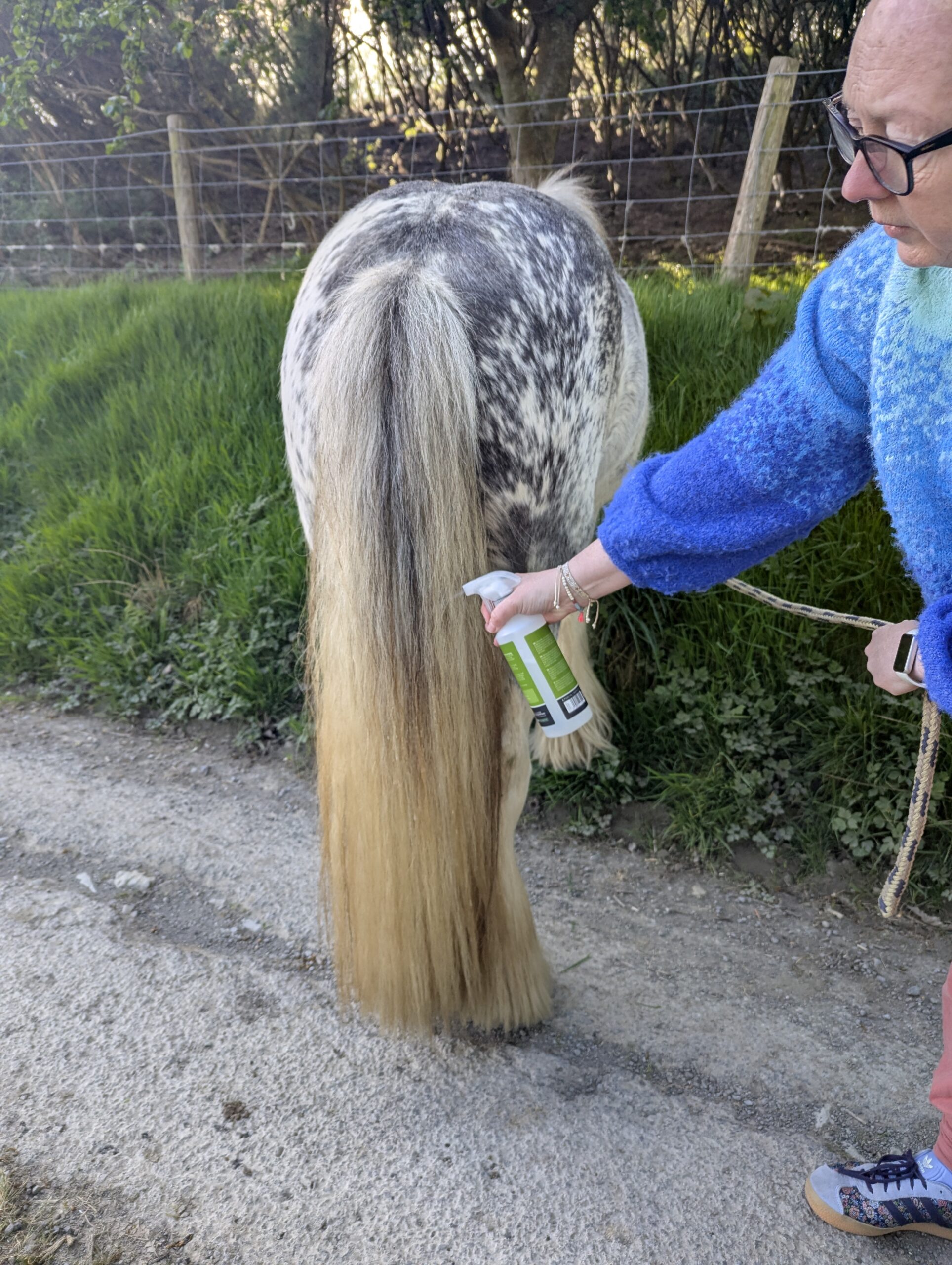 Arlo Pet Citronella Plus Fly Spray in use