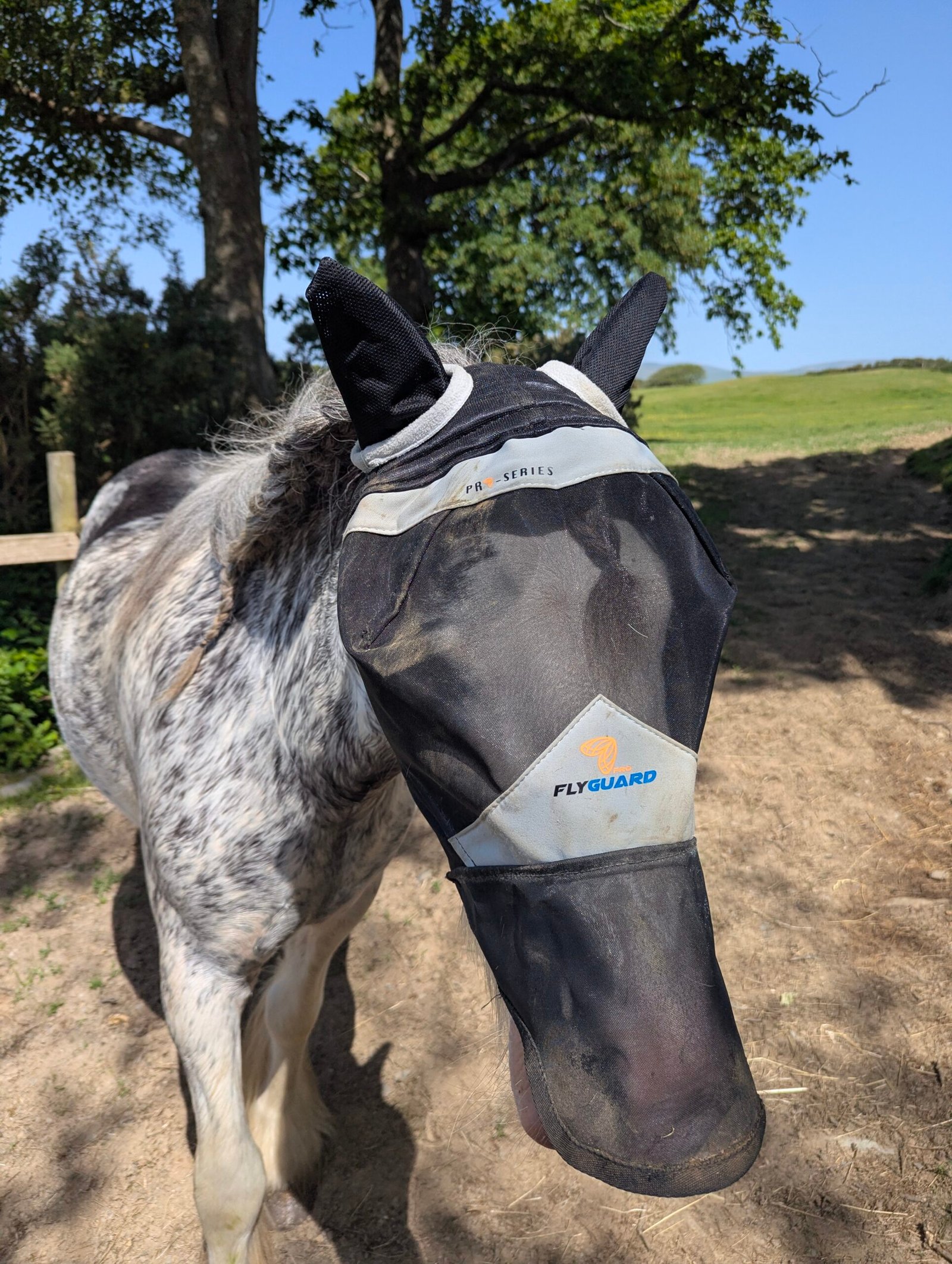 Shires fly mask with mesh ears and nose net