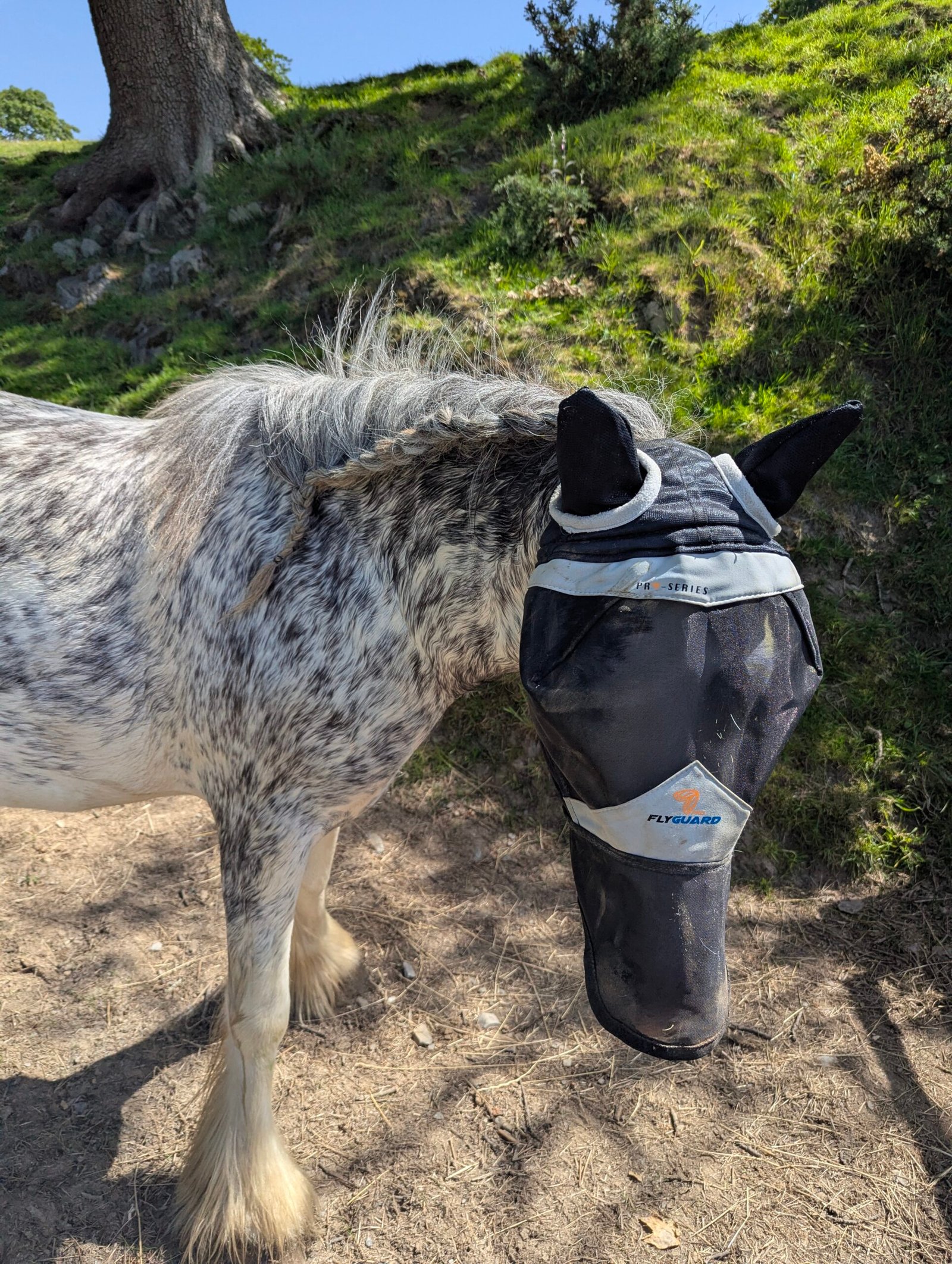 Shires fly mask with mesh ears and nosenet